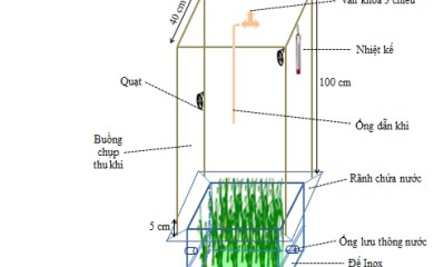 ĐO ĐẠC VÀ ĐÁNH GIÁ PHÁT THẢI KHÍ NHÀ KÍNH TRONG CÁC MÔ HÌNH NÔNG NGHIỆP THÔNG MINH (CSA)