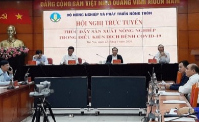 Hội nghị trực tuyến “Thúc đẩy sản xuất nông nghiệp trong điều kiện dịch bệnh Covid-19”