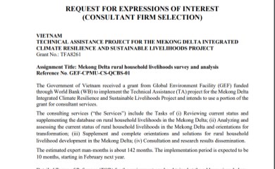REQUEST FOR EXPRESSIONS OF INTEREST (CONSULTANT FIRM SELECTION)