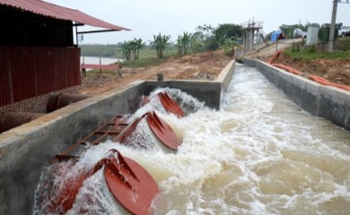 Ngành thủy lợi góp phần tích cực thúc đẩy sản xuất nông nghiệp phát triển