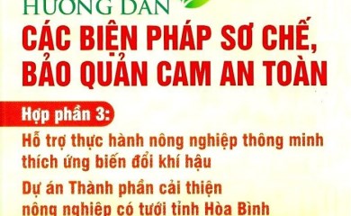 Hướng dẫn các biện pháp sơ chế, bảo quản cam an toàn