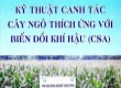 Hướng dẫn kỹ thuật canh tác ngô thích ứng với biến đổi khí hậu - Dự án cải thiện nông nghiệp có tưới thành phần Tỉnh Quảng Nam