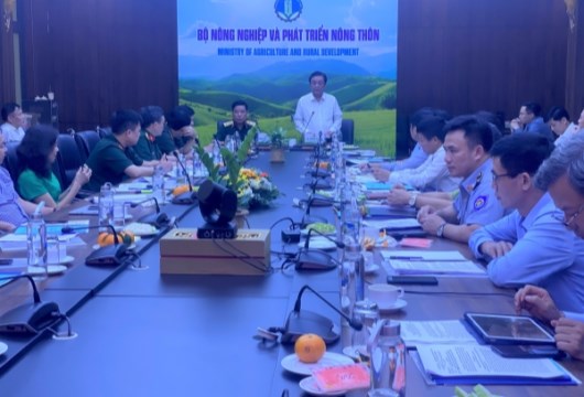 Hội nghị tổng kết Nghị quyết Trung ương 8 khóa XI về “Chiến lược bảo vệ Tổ quốc trong tình hình mới”